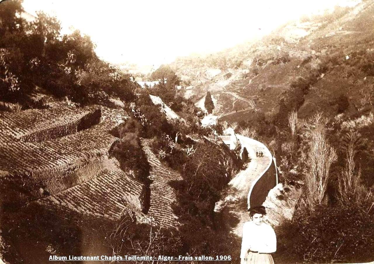 Images d'Algerie 241.jpg